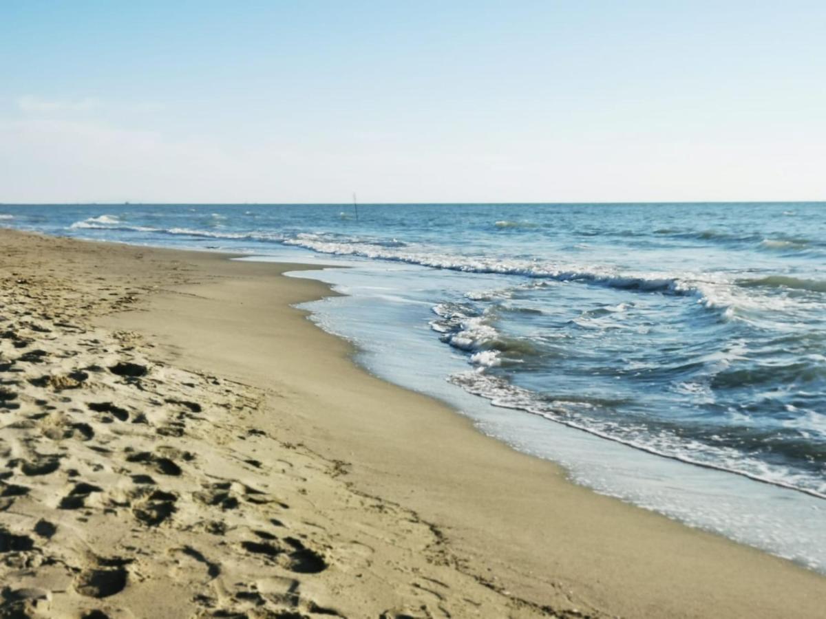 Appartamento In Villa A Tirrenia, Eleganza E Comfort A Pochi Passi Dal Mare Pisa Ngoại thất bức ảnh